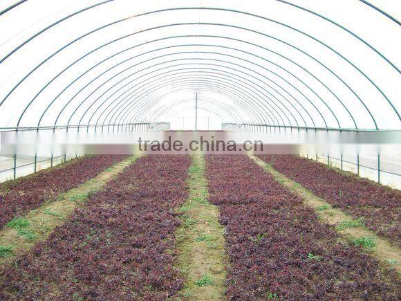 Single-Span Hot-Dip Galvanized Steel Pipe Frame 200mm PVC Film Covered Greenhouse