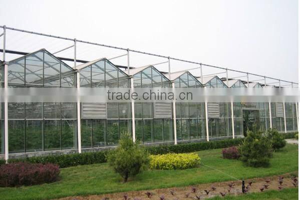 Hot-Dip Galvanized Steel Pipe High Glass Greenhouse For Hydroponic Planting