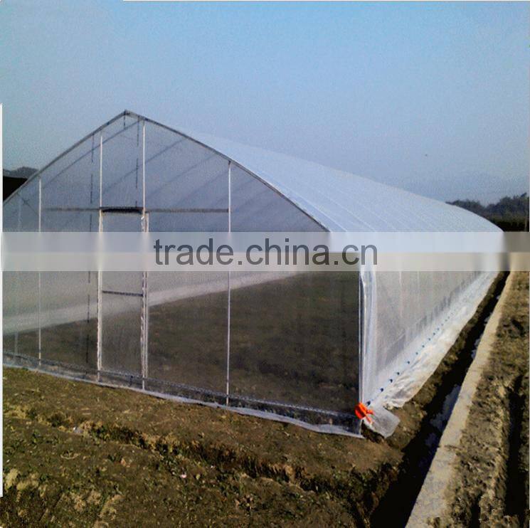 Hot sales Galvanized steel multi-span green house plastic film