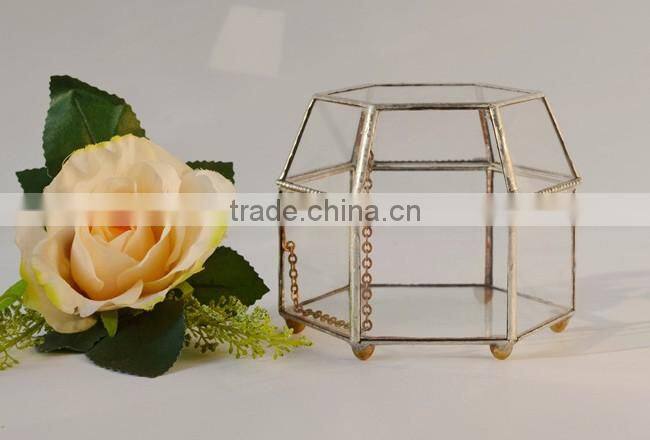 Indoor decoration clear glass plant terrarium hanging terrarium geometric