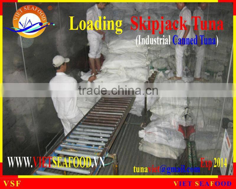 LOADING SKIPJACK TUNA