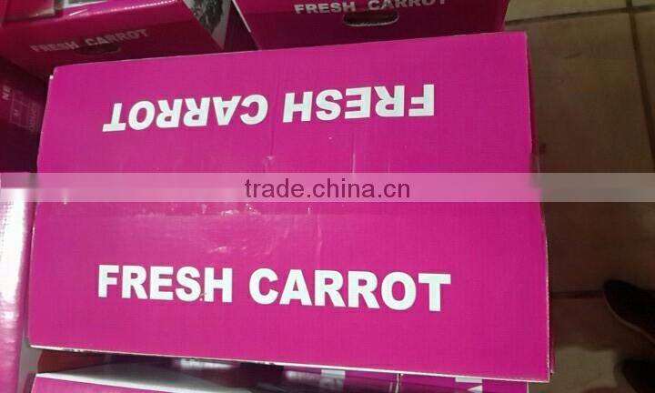 wholesale Chinese fresh carrots with high quality and good price