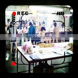 Steam punk men mechanical wind hand Vintage quartz pocket watch DS-NJ095