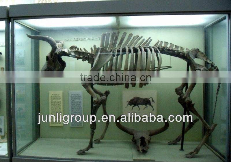 JLDF-G-0026 Hot Sell Fiberglass Bull Skeleton