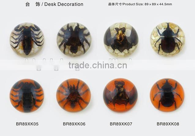 2016 new latest design novel wholesale funny paperweight