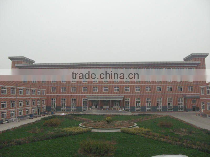 Hot sale fashionable latex balloon for decoration