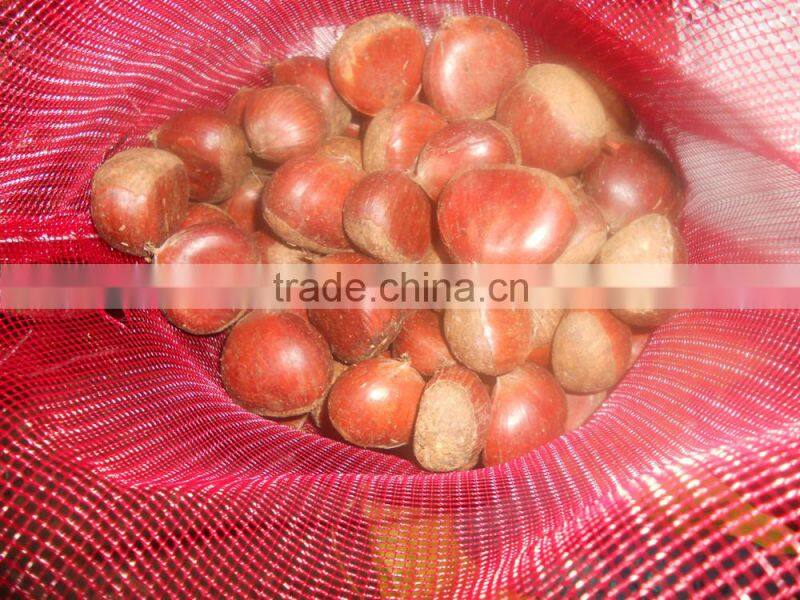2015 new crop of the chestnut with highest quality