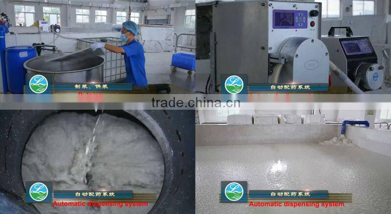 biodegradable food box