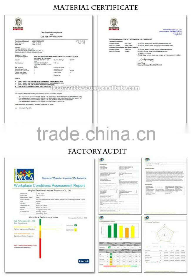 Cooler tote bag/Hot and cold cooler bag/Ice cooler bag