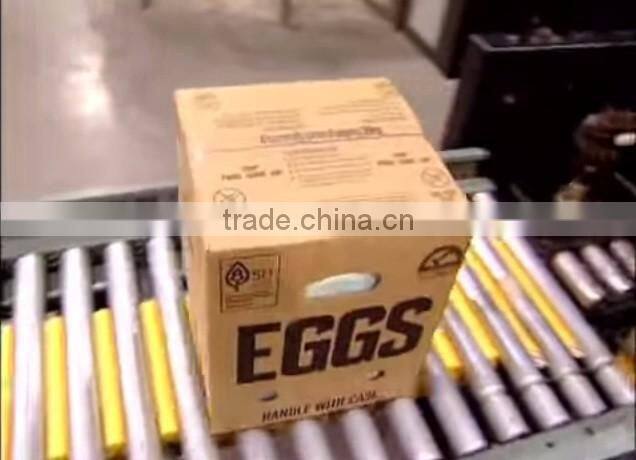 FARM FRESH CHICKEN TABLE EGGS, BROWN SHELL CHICKEN EGGS,WHITE SHELL CHICKEN EGGS