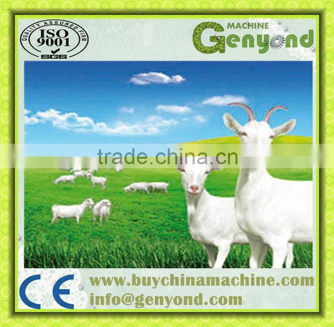 Goat milk pasteurizer