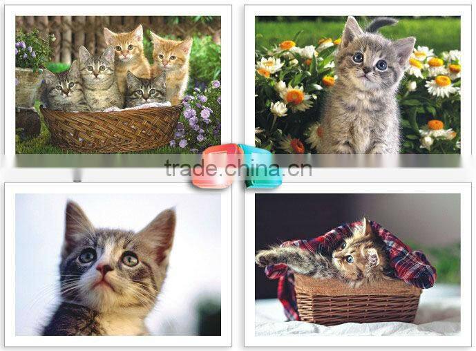 best Gifts & premiums lenticular 3d greeting postcard