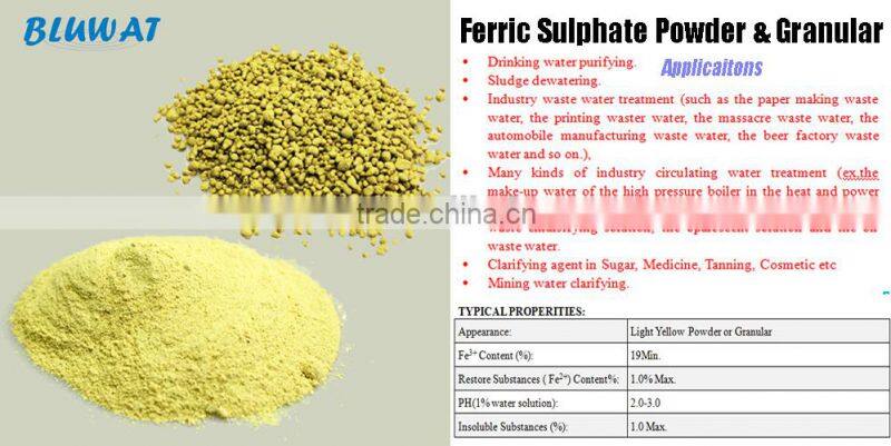 Decolorant for Paper Wastewater BWD-01