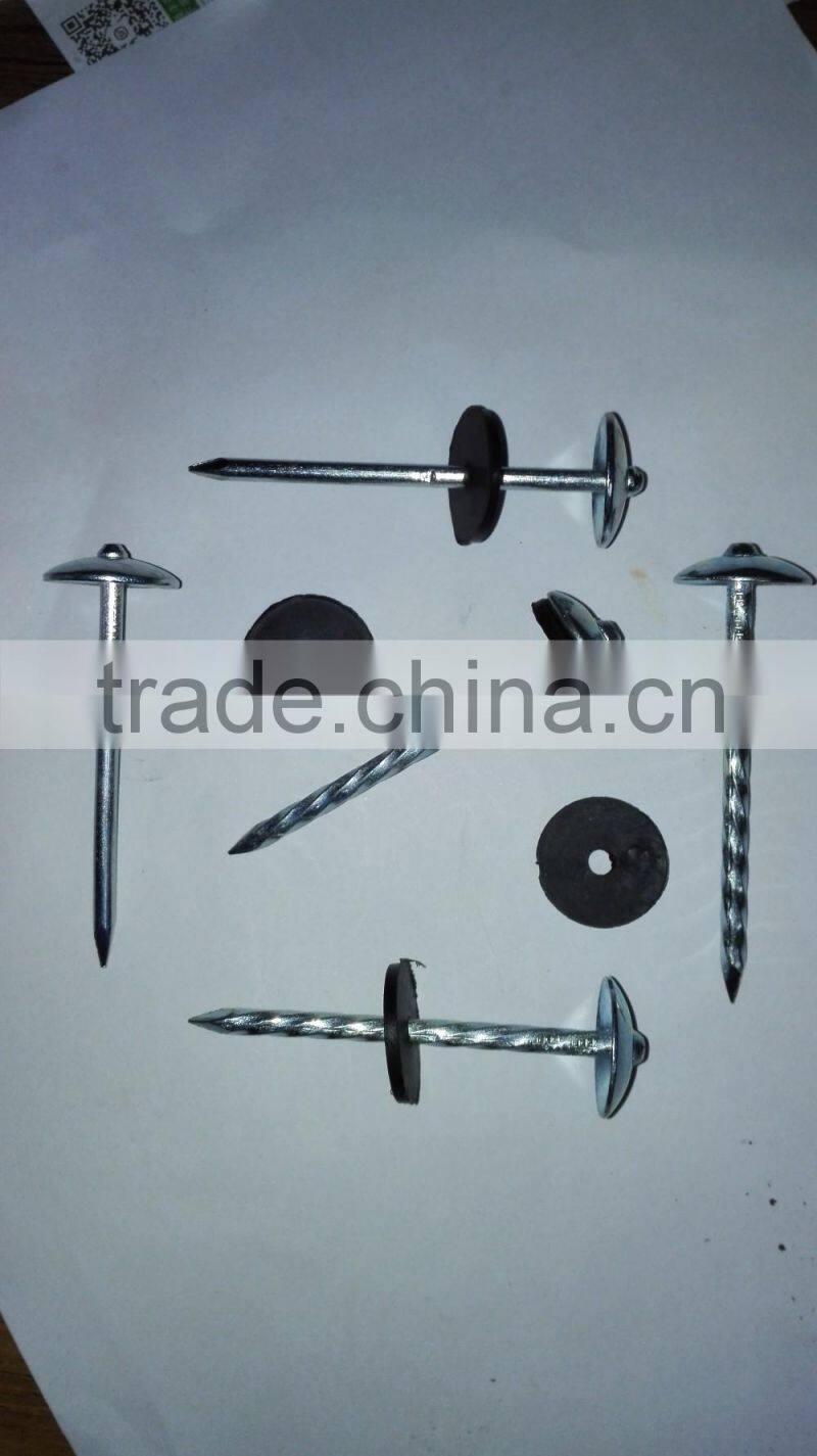 Galvanized Roofing NAILS ( 2 -1/2" x 9mm ) with plastic washer Boa sorte Trade ssurance sinolink