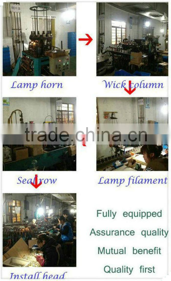 Inexpensive Items ISO9001Certificate Round 120V 60Hz Light Bulb