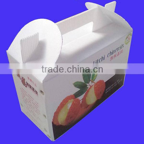 Recycled Packaging Foldable Plastic Container