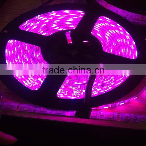 Full Color LED Strip-WS2801 Series