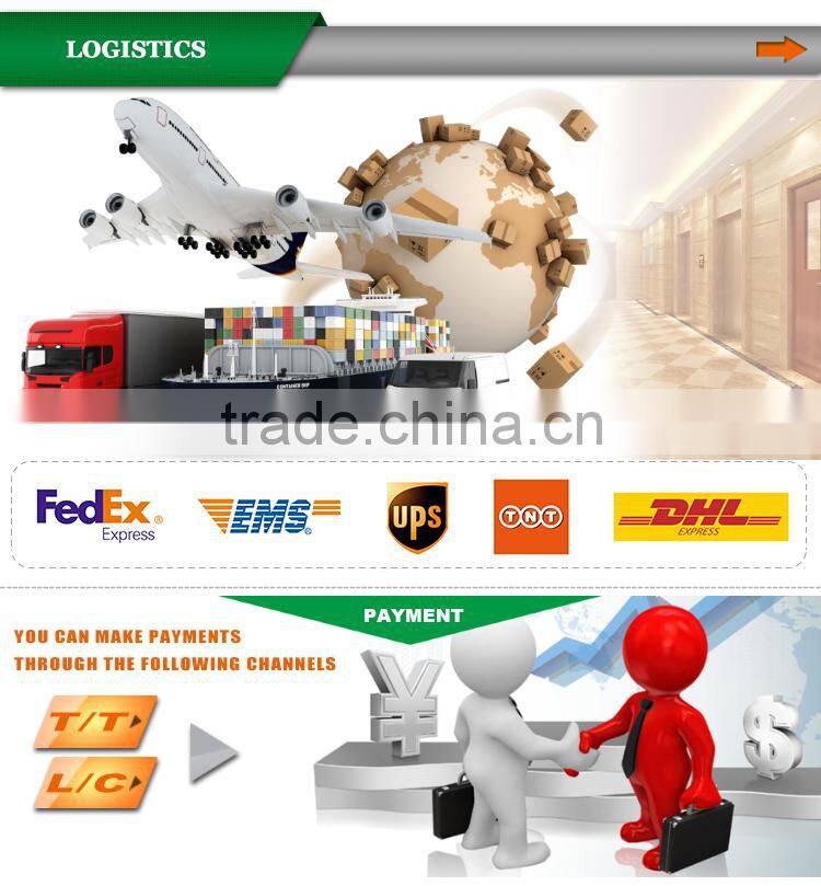 China led emergency twinspot power failure light