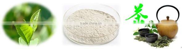 T-full EGCG - our key product