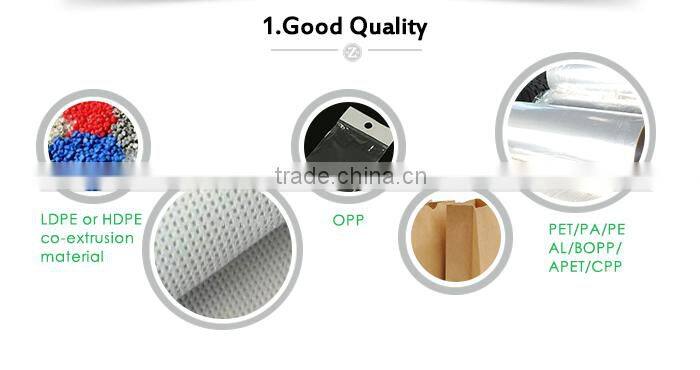 Advertising Promotion Customized Logo Printed New Gift Die Cut Holographic Plastic Liners Bag