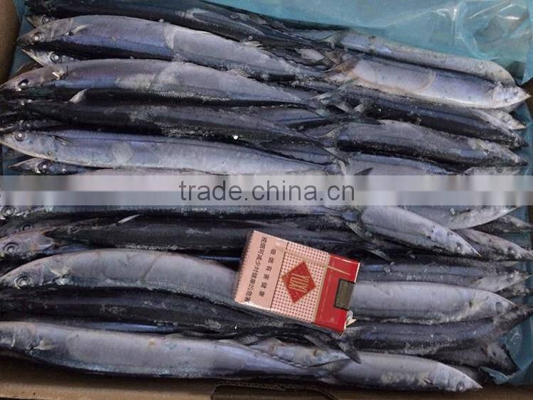 new product 2016 fish bait frozen pacific saury mackerel