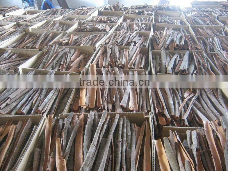 SPLIT CINNAMON NEW CROP 2015