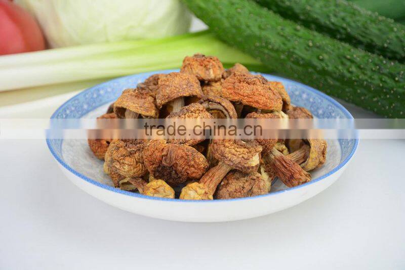 100% Natural Organic Tricholoma Matsutake,fungus of larch,Songi beoseot