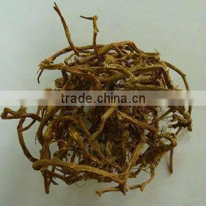 Herbal Medicine Gynostemma Pentaphyllum Extract