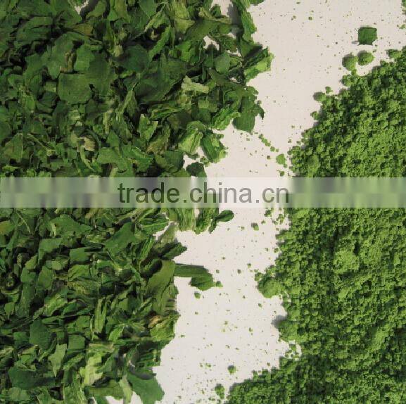 China online selling spinach powder best products for import