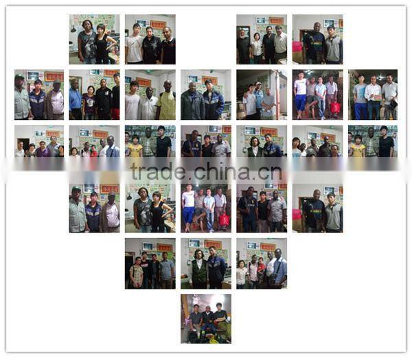 E08 Shengyuan No.2 f1 hybrid black eggplant seeds, 700 to 850grams in weight, round shape