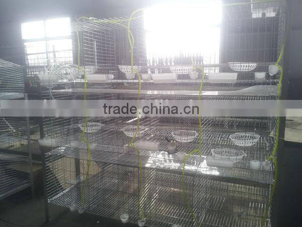Pigeons Cages 3 tier ISO 9001