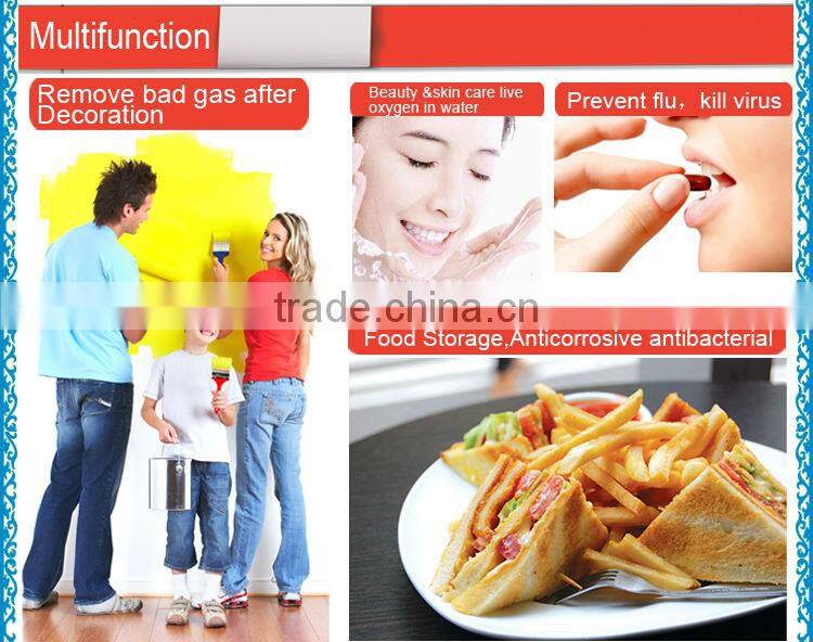 High efficiency 3G portable ozone air purifier for car/summer houses