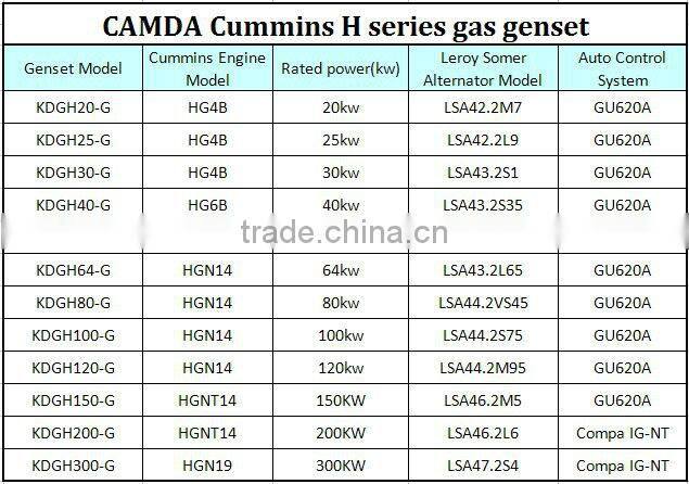 CE approved gas power plant/gas genset power plant/biogas,landfill gas,coal bed methane