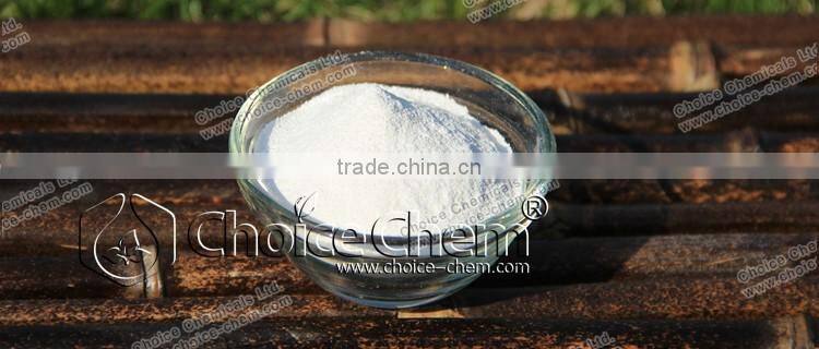 L-Glutamic Acid 98% crystal for best price