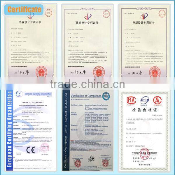 CE 2g portable ozonator for home, ozonizer O3