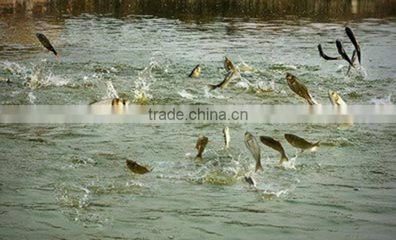 Automatic fish feed machine/Pet feed machine