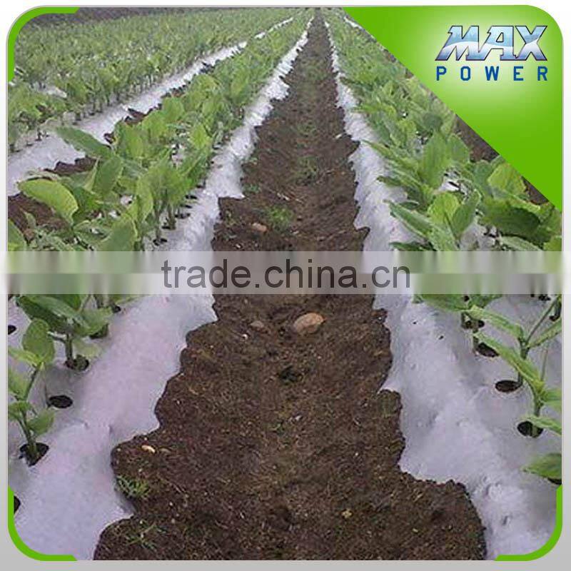 PE Mulch Film 2 Layers