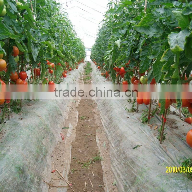 Factory price vegetable seed planter