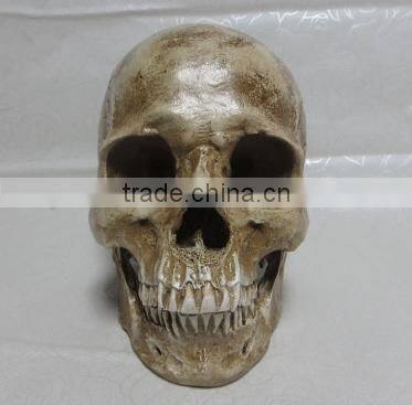 Halloween Decoration Carevd Resin Skull Sculpture