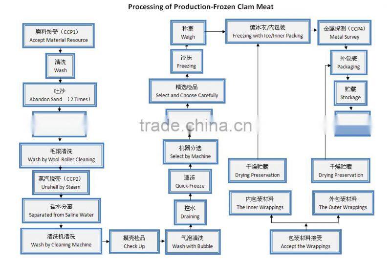 HIGH QUALITY AND HIGH QUANTITY SUPPLY FOR CLAM MEAT