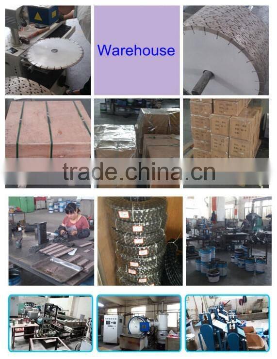 100mm Diamond wet/Dry Polishing Pad for Granite with CE ISO