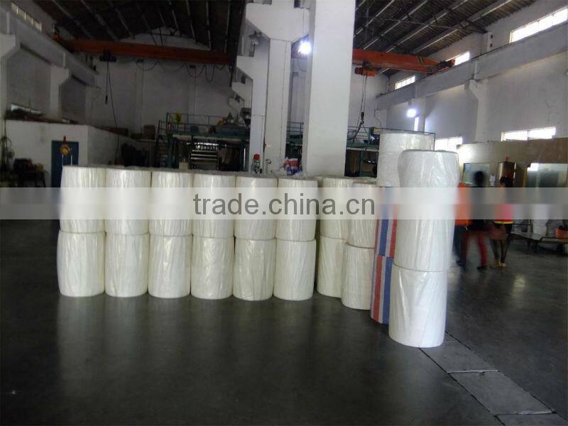 Spunlace nonwoven roll