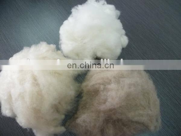 Pure cashmere fibre light grey/med shade 16.0-16.5mic