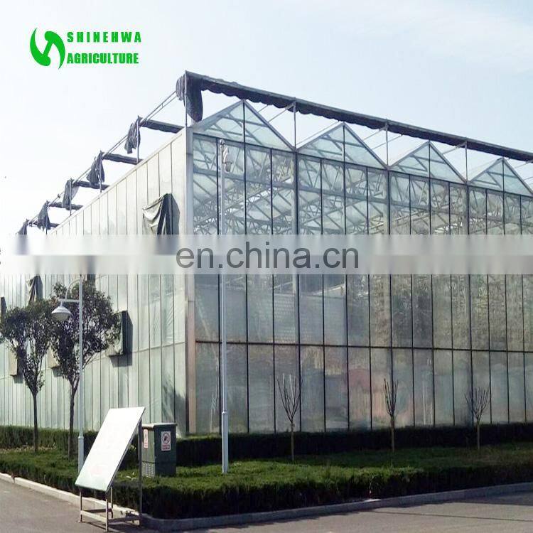 2017 Hot Sale Used Commercial Mushroom Greenhouse
