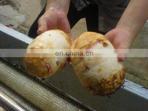 Fresh vegetable washing machines/green leaves vegetable washing machine for sale