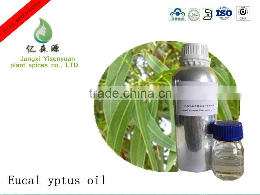 free sample pure natrural eucalyptus oil extract bulk gmp with best price for wholesale