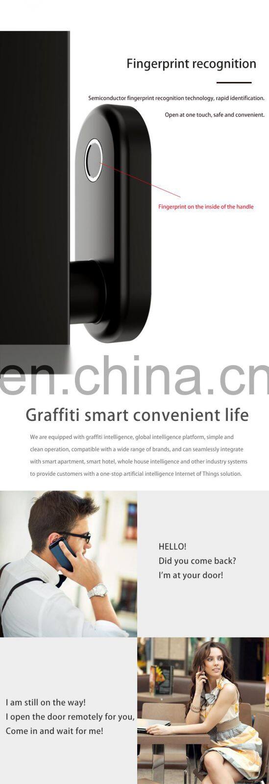 Smart Lock App Fingerprint Keyless for Home Finger WIFI Digital Lock Remote Control tuya TT Smart Lock  Home Wooden Door