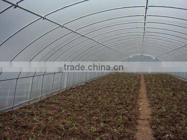 Galvanized Structure Low Tunnel Greenhouse