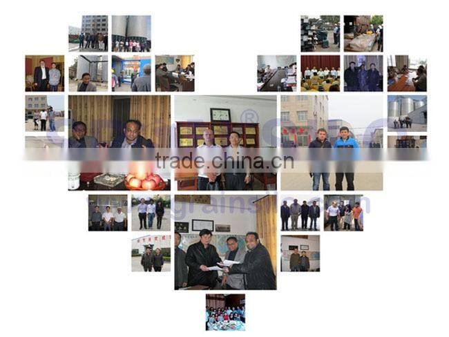 SRON Conveyor Chain SEW Speed Reducer Schneider Electronics