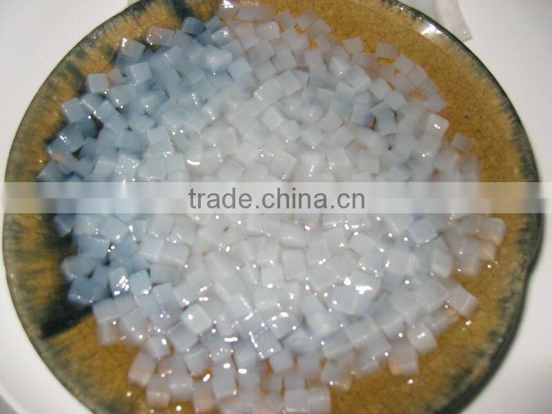 NATA DE COCO WITH BEST PRICE FOR NOW